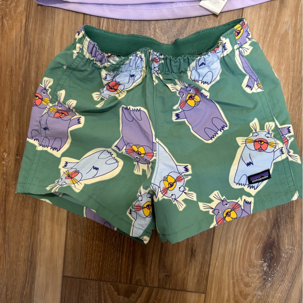 Patagonia Infants' Capilene Silkweight Hoodie & Baggie Shorts Size 12-18 months - Picture 2 of 8